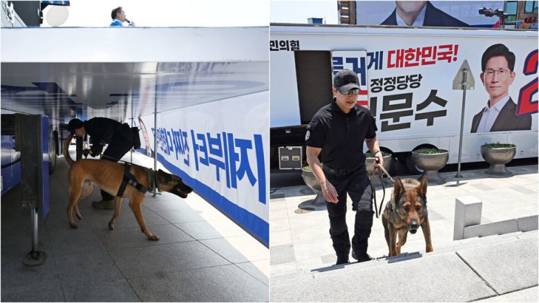 후보들에 대한 경호조치 강화로 각 후보들의 유세차 인근에서 군견들이 폭발물 탐지활동을 하고 있다.