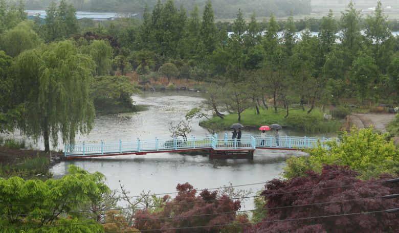 비 오는 날에도 ‘금세기정원’ 여행은 운치 있다. 소나무숲, 장미꽃밭 등 비가 스민 자연이 여행객에게 고요를 선물한다. 박미향 기자