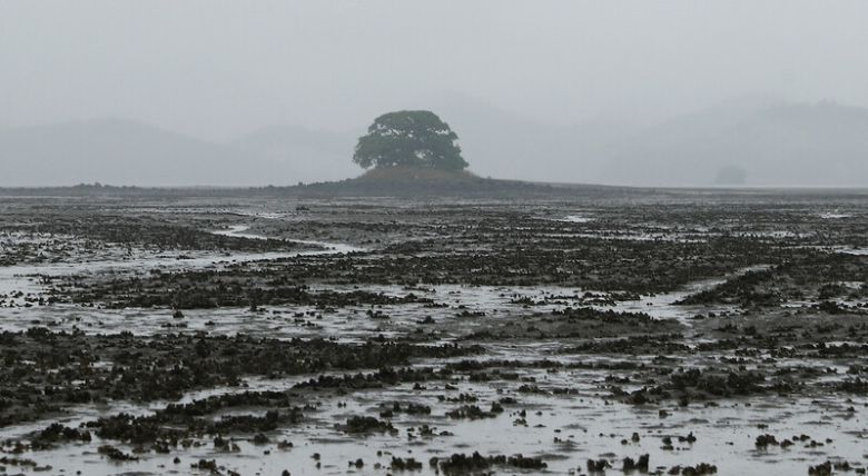 우도 갯벌은 온통 흑백이다. 박미향 기자