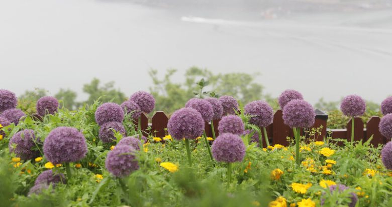 쑥섬 ‘해상공원’ 풍경. 박미향 기자