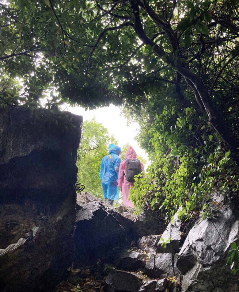 쑥섬 난대 원시림을 걷다 보면 특별한 ‘포토존’을 만난다. 최근 2030세대를 중심으로 인기다. 박미향 기자