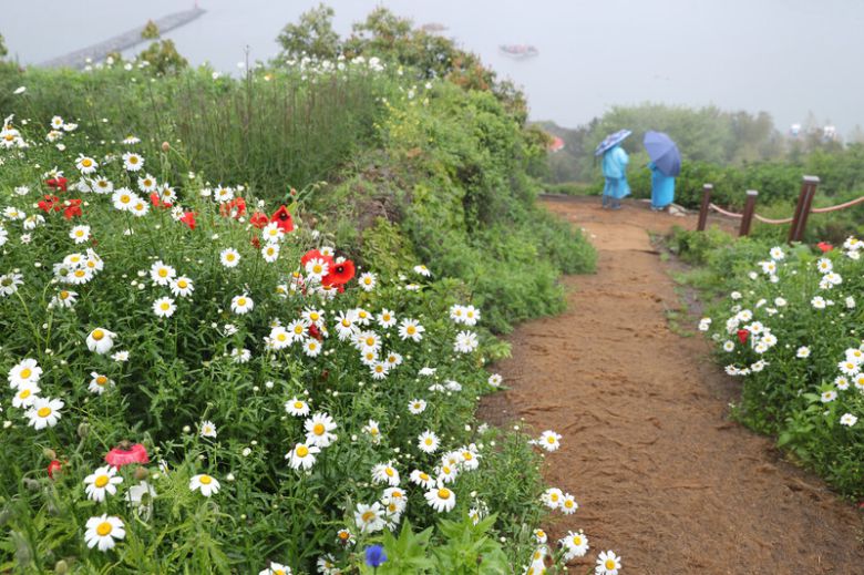 활짝 갠 맑은 날 쑥섬 ‘해상정원’에선 푸른 바다가 보인다. 흐린 날 바다는 탁한 회색이지만, 색다른 흥취를 전한다. 박미향 기자