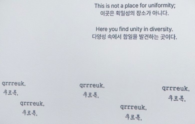 홍영인 작가의 개인전 전시장 안쪽 방에서 상영되고 있는 문자 그래픽 동영상 이미지의 일부. 휴전선 인근에 서식하는 두루미 무리를 관찰하면서 성찰하고 몽상한 내용들을 풀어냈다. 노형석 기자