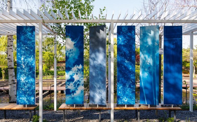 공원 곳곳에서 생동하는 사물과 생명체의 그림자를 ‘시아노타입’ 기법으로 포착했다. 김아연, ‘그림자 아카이브’. 유청오 제공