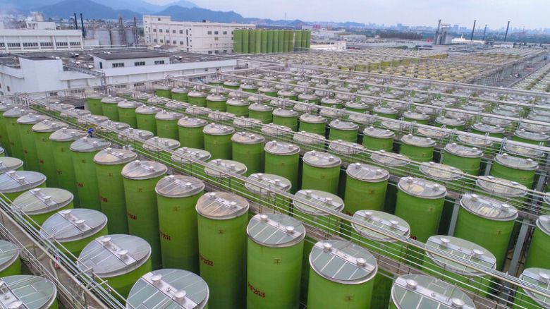 중국 신후이에 있는 이금기 간장 생산시설. 이금기 제공