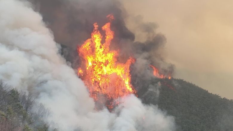 산불에 휩싸인 산에서 까만 연기가 피어오르고 있다. 이번 산불은 고온건조한 대기에 태풍 수준의 바람까지 불며 그 피해가 커졌다. 그 배경엔 기후변화가 있다. 사진 기후위기기록단