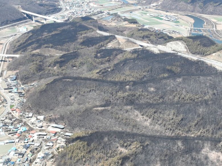 산불이 지나간 자리, 새까맣게 탄 흔적이 선명하다. 기후변화가 계속되는 한, 영남 산불은 언제든 다시 일어날 수 있다. 사진 기후위기기록단
