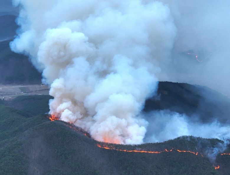 나무를 타고 산불이 비화하고 있는 모습. 주요 피해지인 의성, 안동, 청송, 영덕 4개 도시는 산불 발생 주간 일 최고기온이 25에서 28도에 육박했다. 이는 3월 평균 최고기온 13.7도를 크게 웃도는 이상고온 현상이다. 사진 기후위기기록단