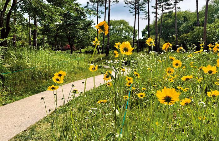 서울창포원은 평지에 조성돼 노약자가 산책하기 좋다