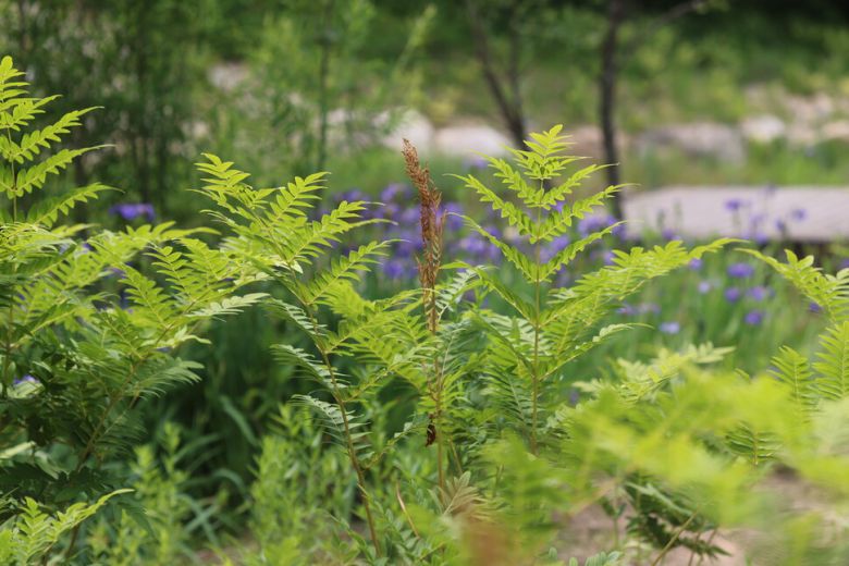 고비. 허태임 제공