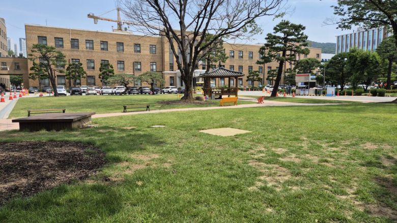 충북도가 정원에 있던 나무 등을 제거·이식한 뒤 조성한 본관 앞 잔디광장. 오윤주 기자