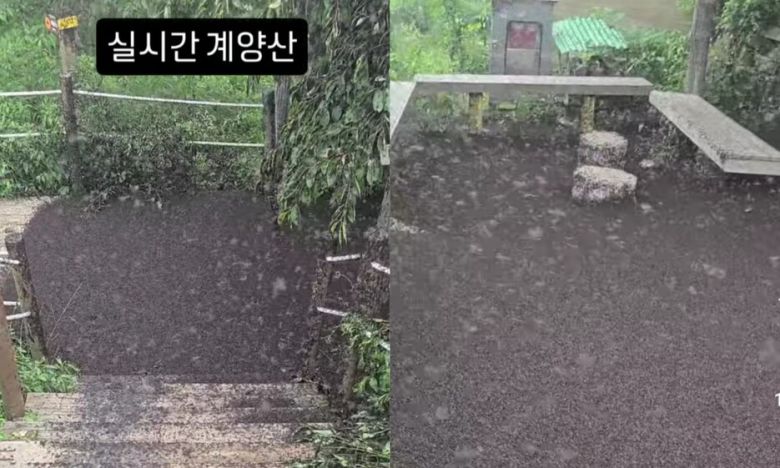 인스타그램 갈무리(@kimlark34)