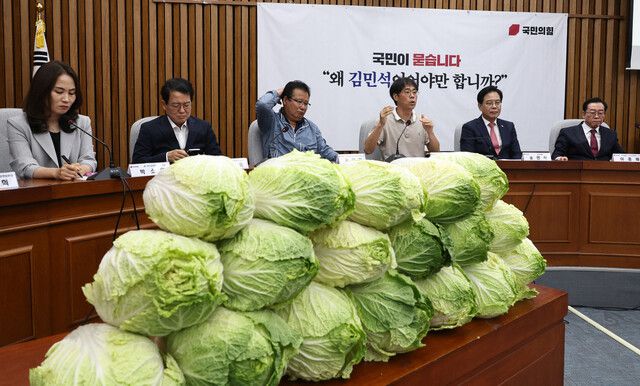 국민의힘이 30일 오전 국회에서 연 ‘김민석 국무총리 후보자 국민청문회’ 한쪽에 배추 18포기가 쌓여 있다. 김 후보자가 미국 유학 시절 지인으로부터 매달 450만원을 받았다는 의혹에 대해 “배추 농사 투자 수익 배당금”이라고 해명한 것을 비판한 것이다. 윤운식 선임기자 yws@hani.co.kr