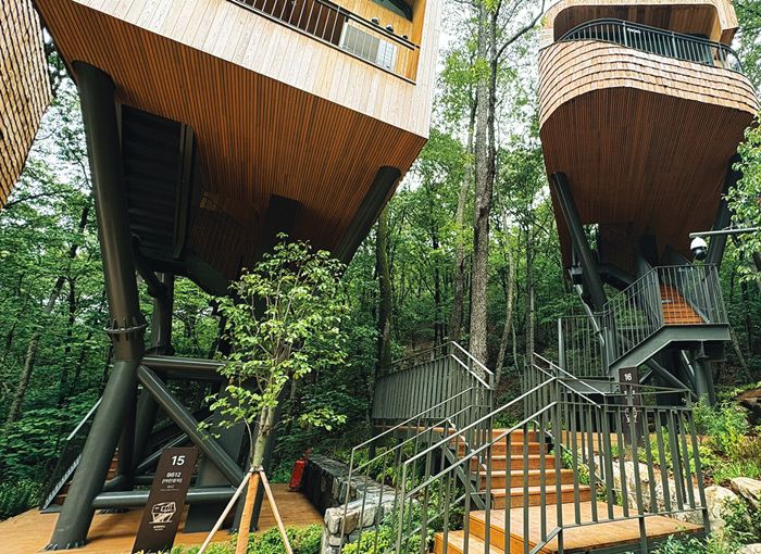 트리하우스 모습. 하변길 기자