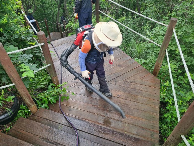 환경부와 소속기관 직원들이 4일 인천 계양산에 대발생한 러브버그를 제거하기 위해 방제 작업을 하고 있다. 환경부 제공