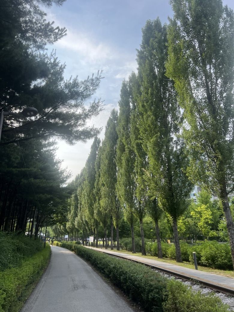 옛 철길과 숲 사이를 달리게 되는 러닝 명소인 경춘선숲길 코스. 달리면서 색다른 풍광을 만난다. 이재진 제공