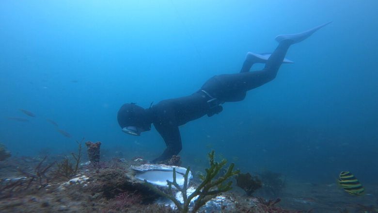 경남 거제의 4년 차 해녀 신호진씨. 신호진씨 제공