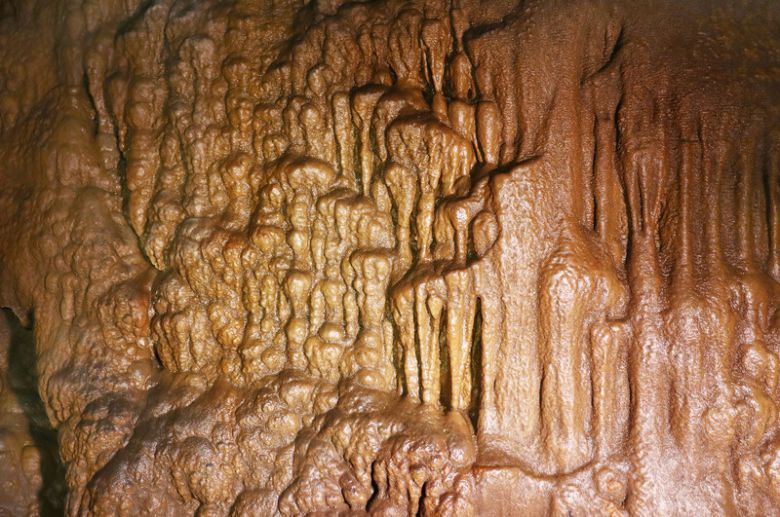 국내 지질 전문가도 ‘최고’라고 칭송하는 백룡동굴에는 희한한 모양의 동굴 생성물이 많다. 박미향 기자
