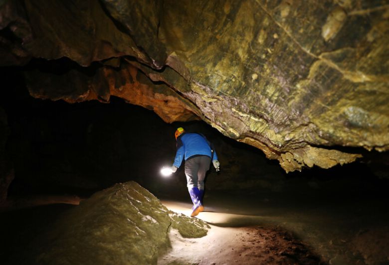 국내 지질 전문가도 ‘최고’라고 칭송하는 백룡동굴. 박미향 기자