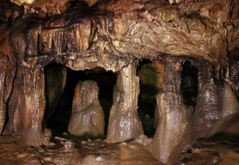 국내 지질 전문가도 ‘최고’라고 칭송하는 백룡동굴에는 희한한 모양의 동굴 생성물이 많다. 박미향 기자