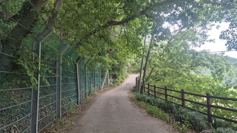 지난 13일 울산 울주군 대곡리 반구대 암각화 전망대로 가는 길. 주성미 기자