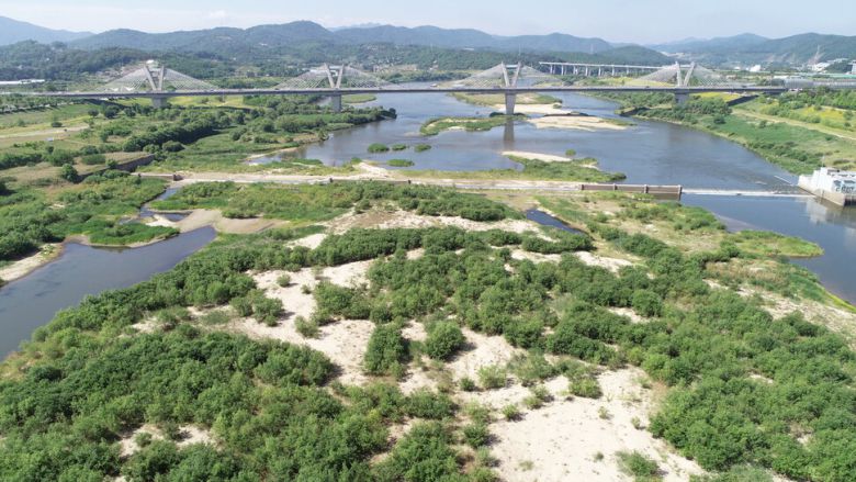 2018년부터 완전 개방된 세종보의 2022년 모습. 환경부.