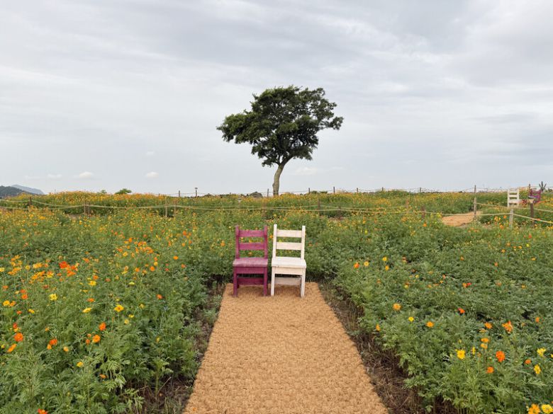 꽃과 의자로 조성된 ‘신화가든’ 풍경. 박미향 기자