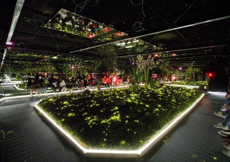 도시에서 보기 힘든 반딧불이를 가까이서 만날 수 있는 \'한여름 밤의 반딧불이 체험\' 프로그램. 에버랜드 제공