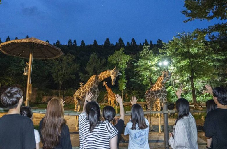 생태형 사파리 로스트밸리를 도보로 탐험할 수 있는 \'썸머 선셋 어드벤처\' 프로그램. 에버랜드 제공