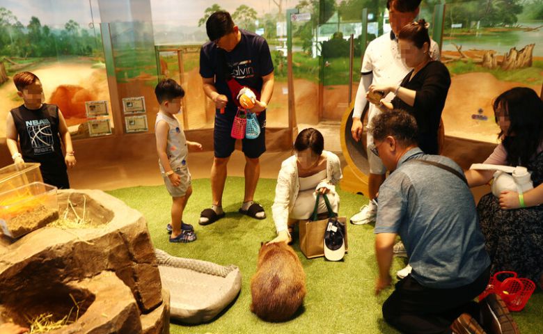 모모쥬 동물원 실내 풍경. 박미향 기자