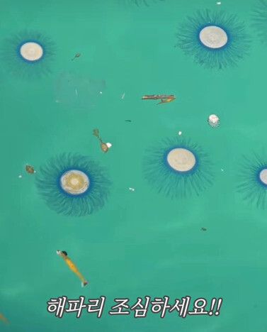 지난 27일 제주시 구좌읍 김녕항. 인스타 @ksm3380 제공