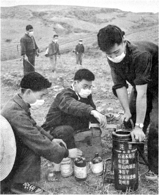 이 1964년도 사진은 살충제의 통상적인 취급 방법을 보여 준다. 청년들은 배낭식 탱크를 채우고 있고, 뒤쪽에 있는 청년들은 스프레이를 뿌릴 준비를 하고 있다. 이들은 충칭 살충제 공장 소속 노동자들로, 살충제를 시험해 본 경험을 바탕으로, 농민들을 도와 목화다래벌레를 제거했다. 푸른역사 제공