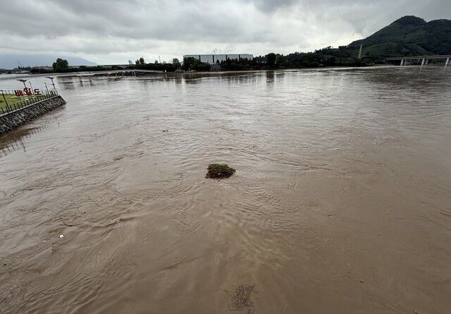 지난달 폭우가 쏟아진 섬진강에 부유물이 떠다니고 있다. 전남환경운동연합 제공