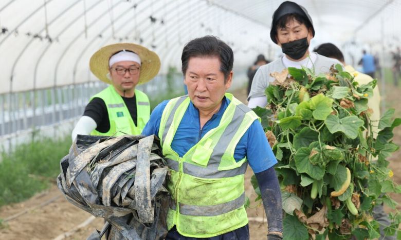 정청래 신임 더불어민주당 대표가 3일 오전 전남 나주시 노안면 오이농가를 찾아 수해 복구 작업을 하고 있다. 연합뉴스