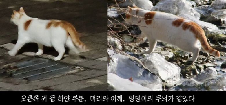 유튜브 채널 ‘5275 오이칠오’ 갈무리