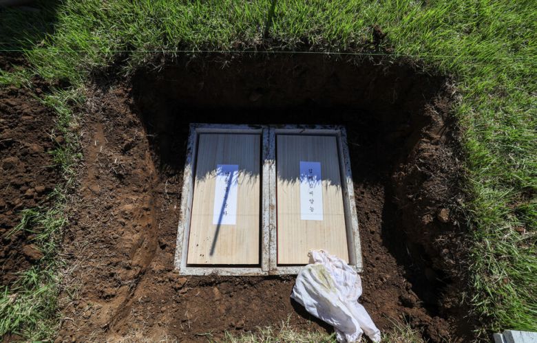 일본에서 영면한 뒤 오사카의 한 절에 있던 홍순하·김양능 부부의 유골함이 지난달 29일 오전 제주 조천읍 와흘리 남양 홍씨 가족묘지에 모셔져 있다. 제주/김영원 기자 forever@hani.co.kr