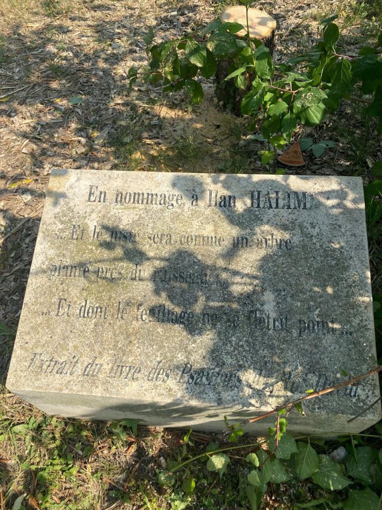 일랑 알리미를 기리기 위해 세워진 표지석 위쪽으로 잘려진 올리브나무 밑둥이 보인다. 출처 에피네쉬르센 페이스북 페이지