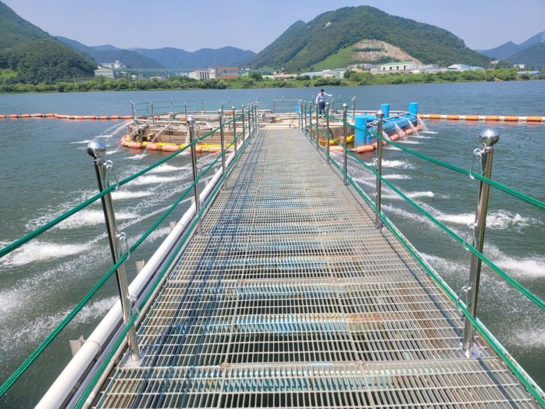 경남 양신시 물금취수장에 발생한 녹조를 제거하기 위해 물을 뿌리고 있다. 부산시상수도사업본부 제공