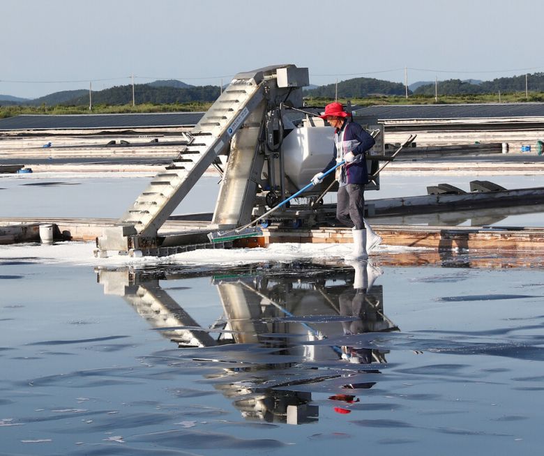 노동의 강도를 줄여주는 채염 기구들을 활용해 태평염전 소금을 모으고 있는 염부. 폭염으로 통상 오후 4시30분~5시 나와 일한다. 10월 말까지만 볼 수 있는 풍경이다. 박미향 기자