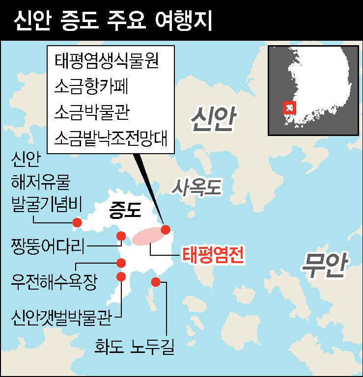 성기령 기자