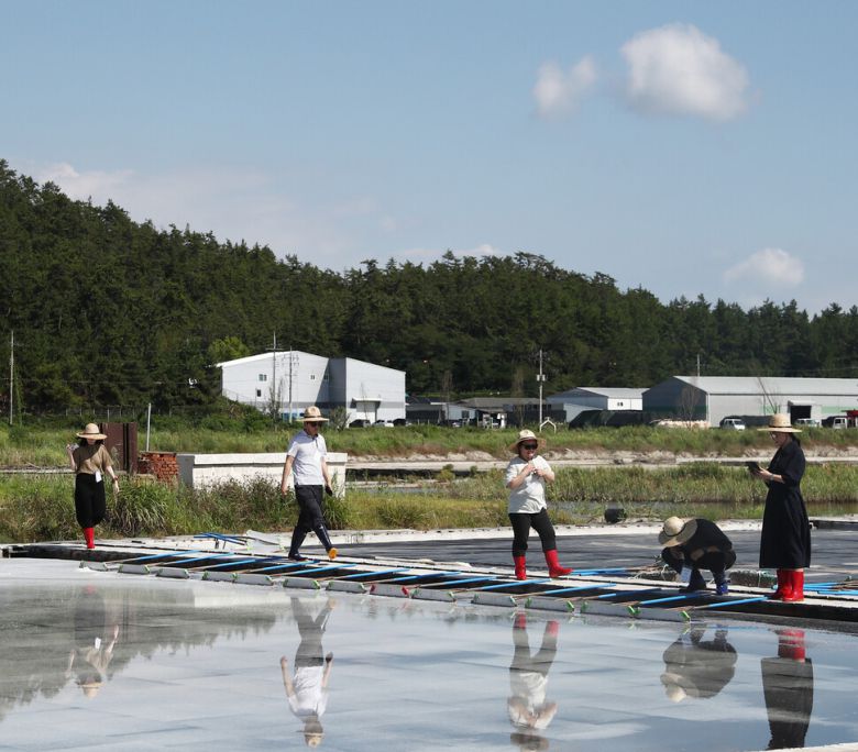 짱뚱어를 스마트폰에 담는 체험객들이 채염장으로 이동하고 있다. 박미향 기자