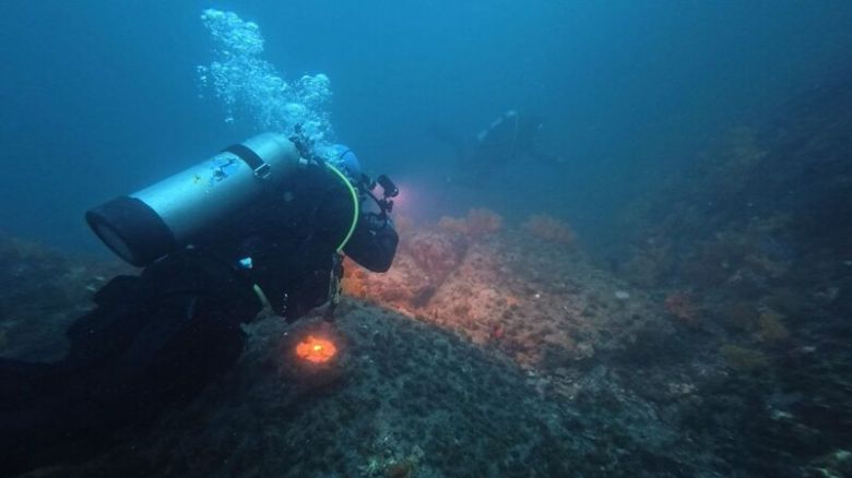 해양시민과학센터 파란의 활동가들이 해양 조사를 하고 있다. 해양시민과학센터 파란 제공