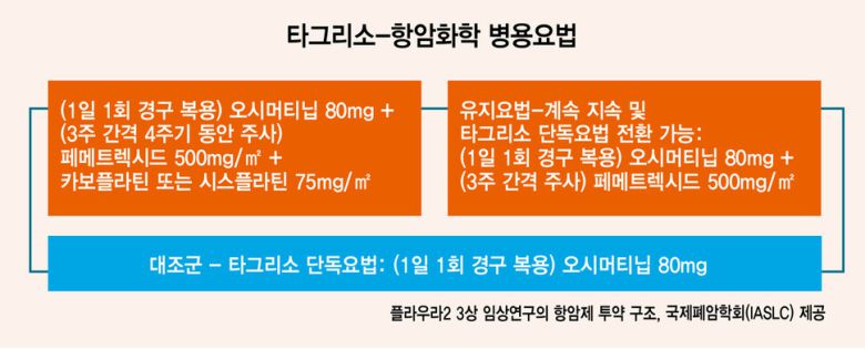 타그리소-항암화학 병용요법
