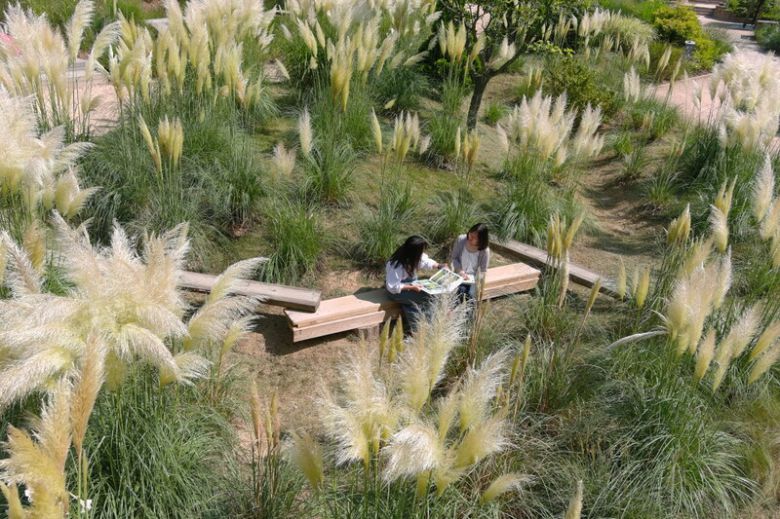 천리포수목원 어린이정원에 가득 핀 팜파스그라스 사이에서 탐방객이 쉬고 있다. 천리포수목원 제공