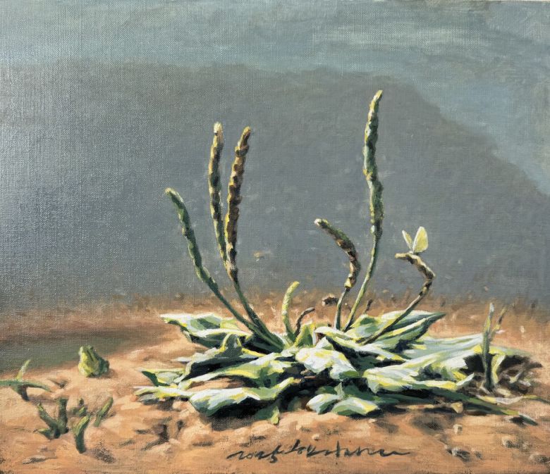 신학철, ‘작은 연못’, 45.3×53㎝, 캔버스에 유화, 2025.