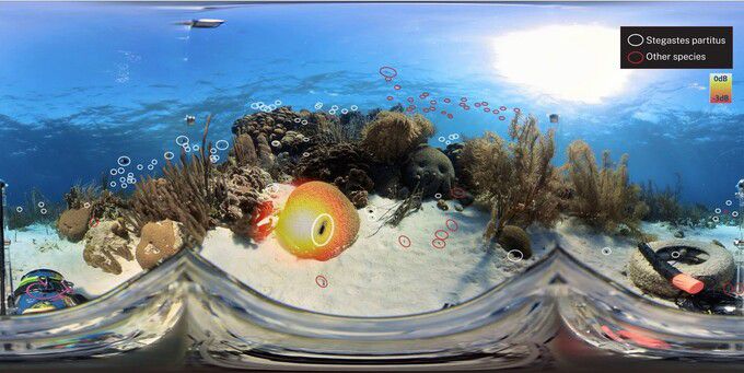 4개의 수중 청음 센서가 달린 360도 카메라(a)는 물고기가 소리를 내는 순간, 음원을 감지해 물고기를 포착하도록 설정됐다. 피쉬 아이 공동연구회 제공