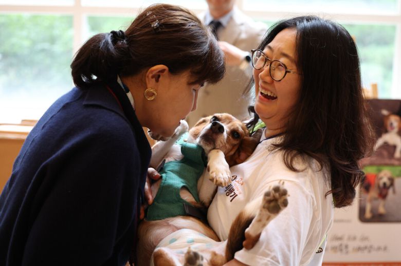 제2회 실험 비글 입양제가 열린 11일 오후 서울 중구의 행사장에서 십멍이가 반려인 이현정씨의 품에 안겨 있다. 김영원 기자 forever@hani.co.kr