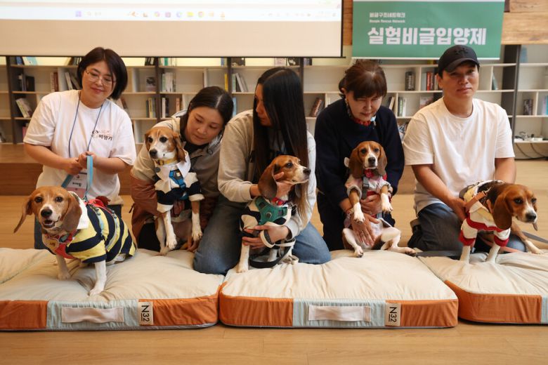 제2회 실험 비글 입양제가 열린 11일 오후 서울 중구의 행사장에서 입양을 기다리고 있는 실험 비글들이 사진을 찍고 있다. 왼쪽부터 사동, 이열, 십군, 팔멍, 오멍. 김영원 기자 forever@hani.co.kr