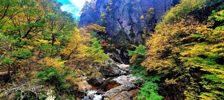 주왕산 상의계곡. 국립공원공단 제공