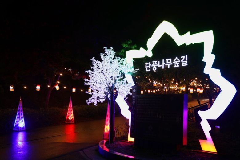 충남 천안 독립기념관 단풍나무숲길 야경.